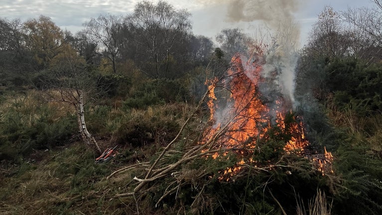 Heathland scene with a pile of gorse burning in the centre